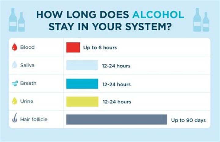 How long does it take 4 beers to leave your system?