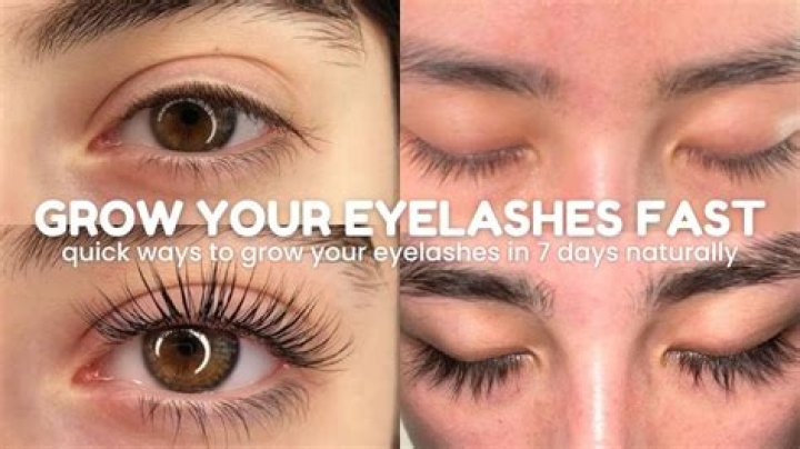 How long does it take for eyelashes to grow back after chemotherapy?