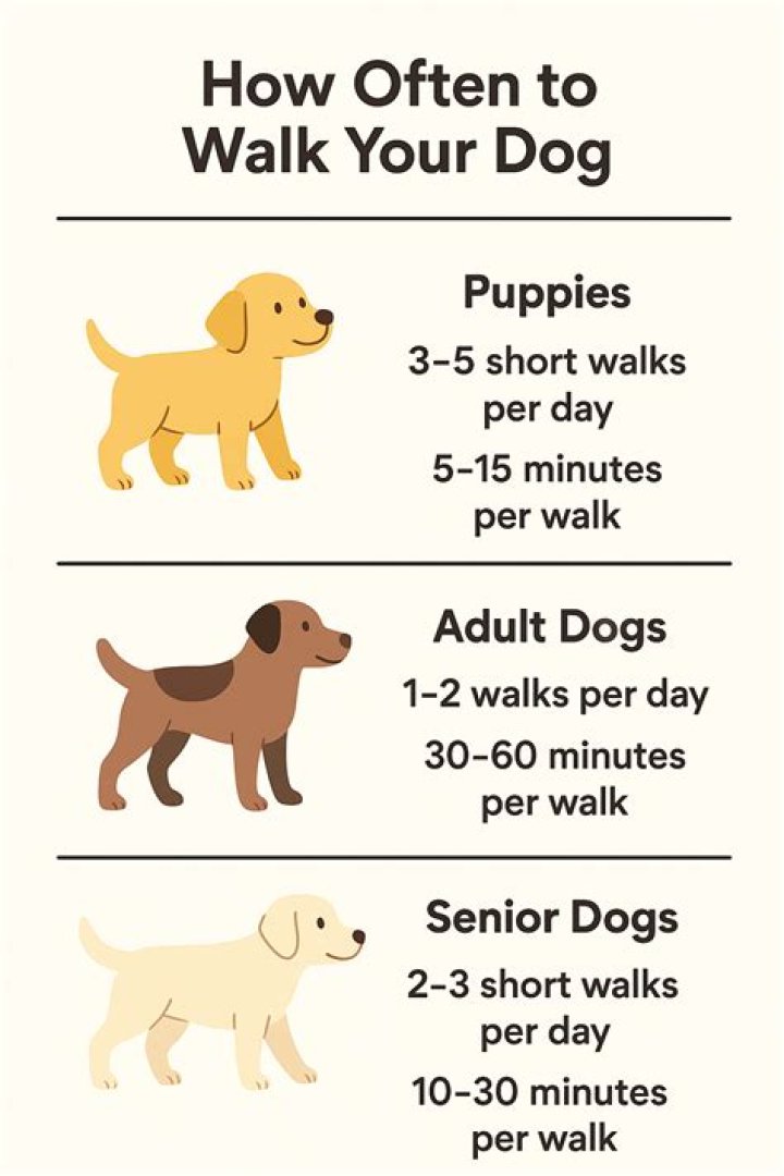 How long should I walk my dog?