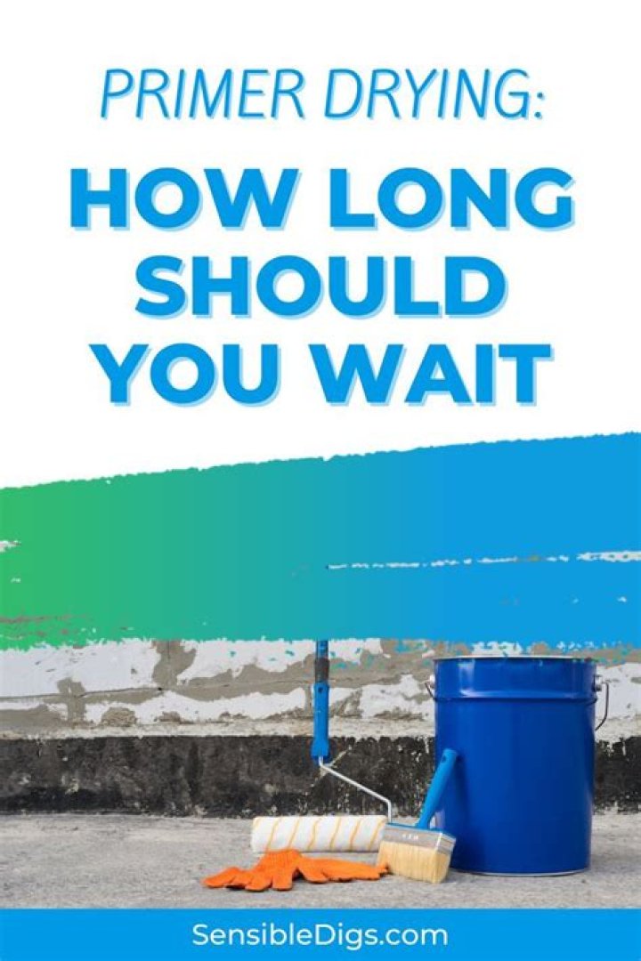 How long should primer dry before painting?