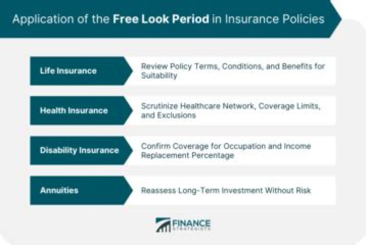 How many days is the free look period in most life insurance policies?