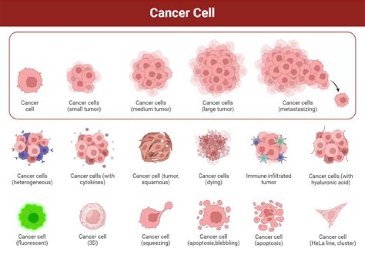 How many doublings of a cell have to occur before a cancerous lump appears?