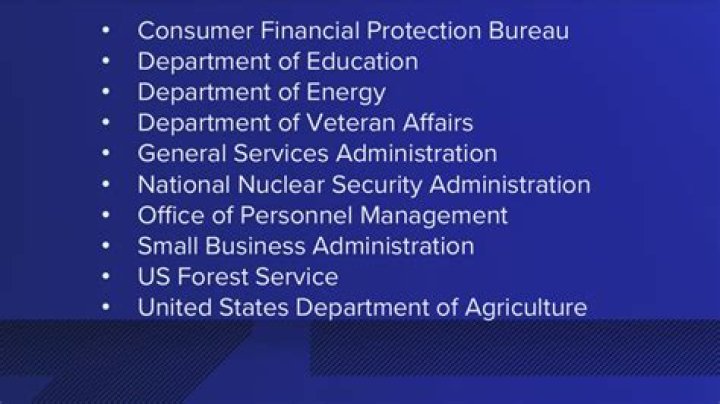 How many government employees are there in the US?