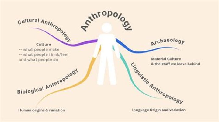 How many hours do anthropologists work a week?