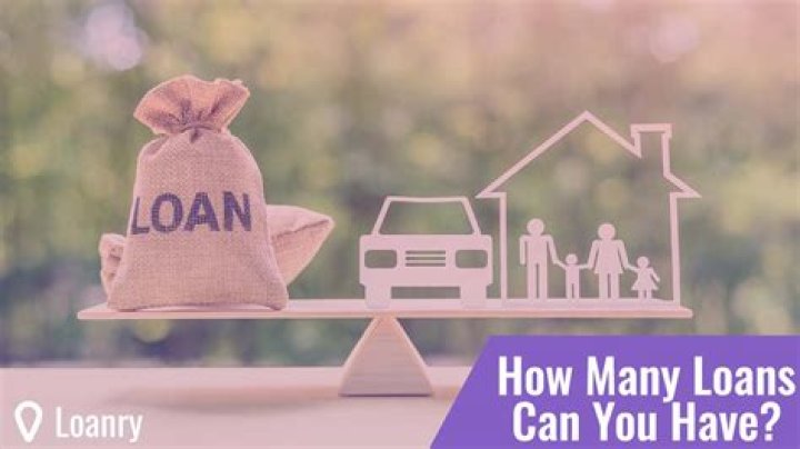 How many loans are there in Tamilnadu?