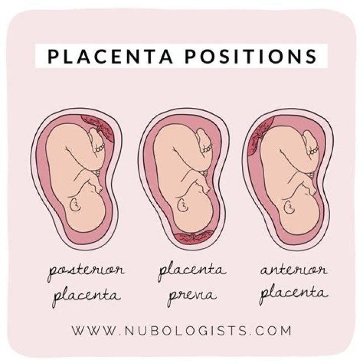 How many moms eat their placenta?