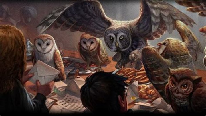 How many O.W.L.s can you take at Hogwarts?