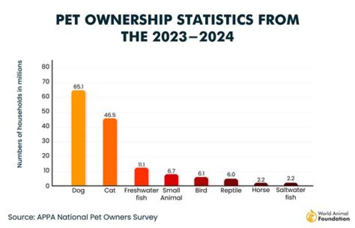 How many pet owners are in the US in 2021?