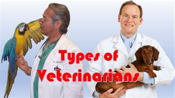 How many practicing Veterinarians are there in the US?