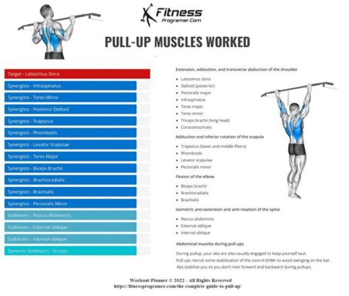 How many pull-ups a day for beginners?