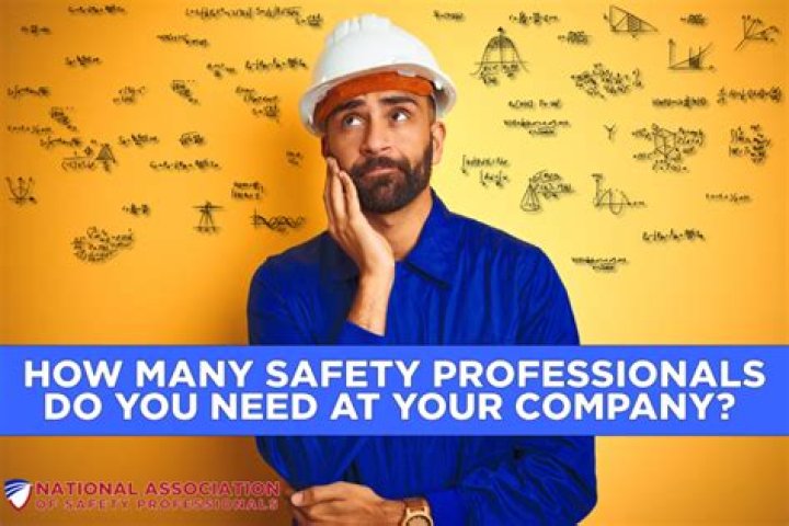 How many safety professionals are there?