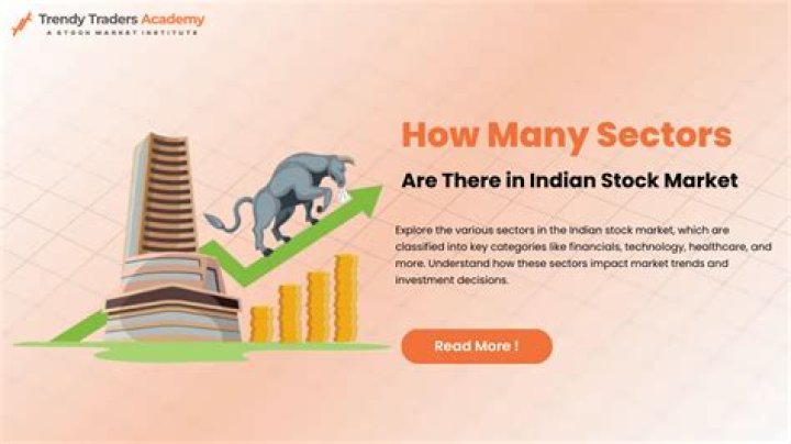 How many sectors are there in Indian stock market?