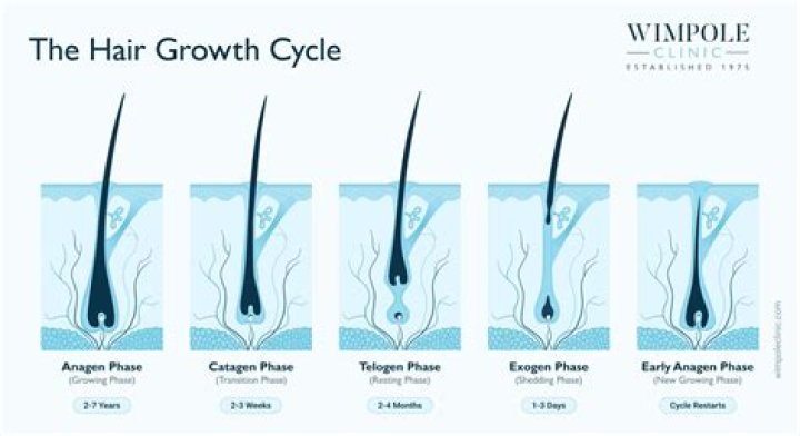 How many times pluck hair grow back?