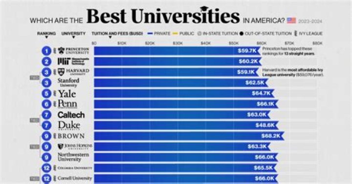How many universities are in the world?