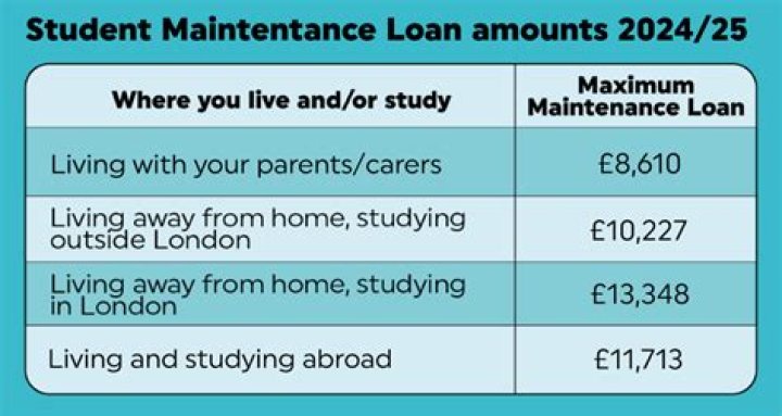 How much can you get from calamity loan?