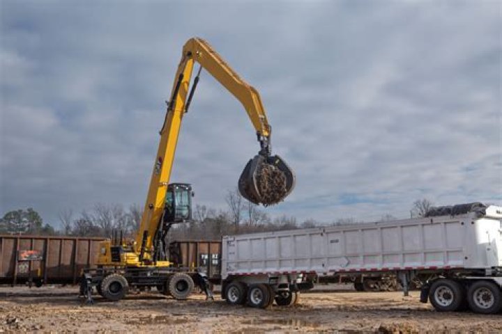 How much do big cat handlers make?
