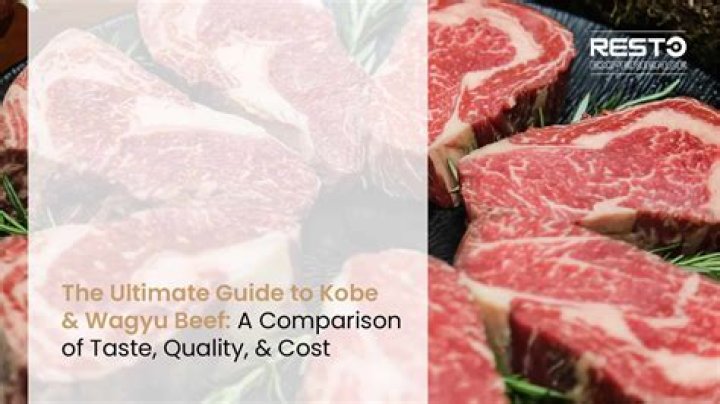 How much do Wagyu bulls cost?