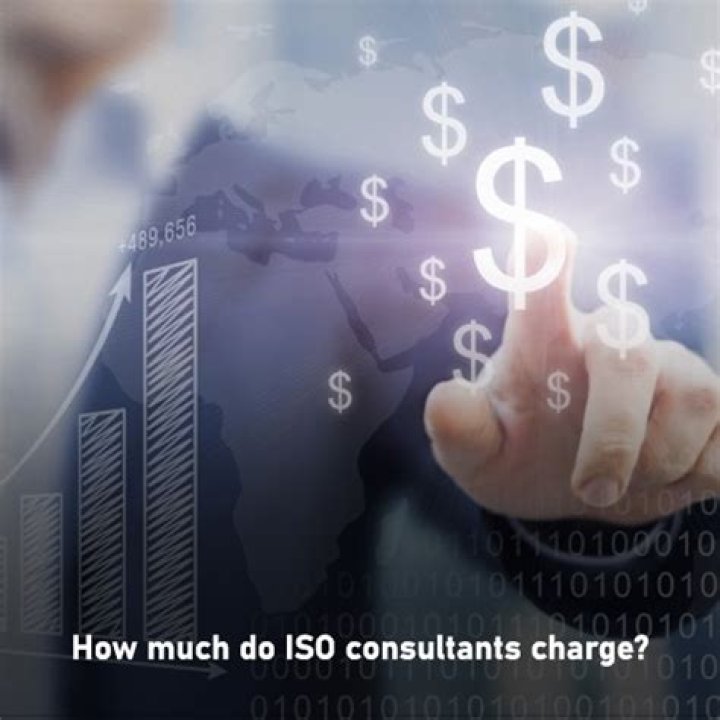 How much does an ISO consultant charge?
