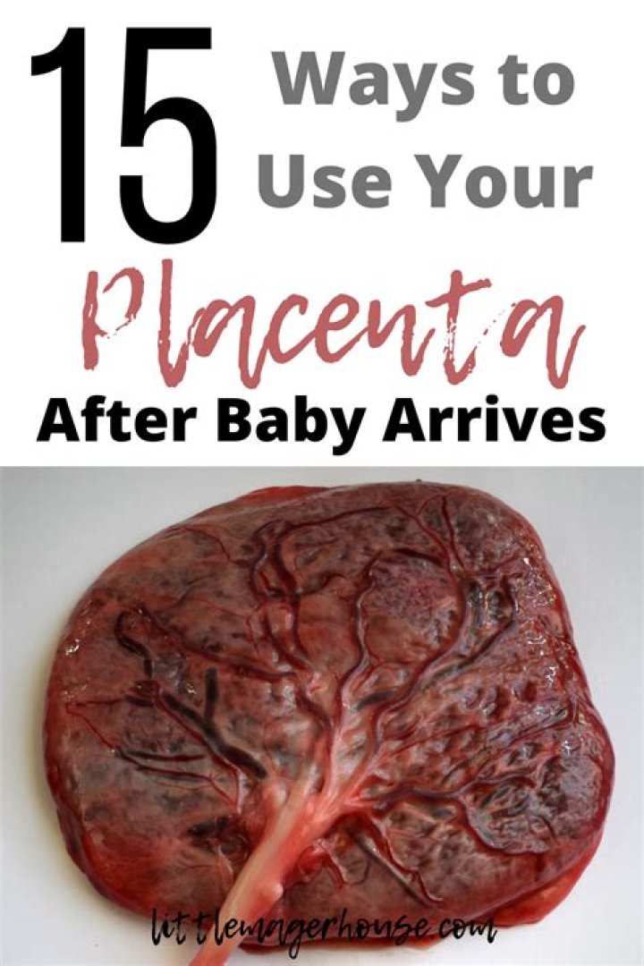 How much does it cost to make placenta into pills?