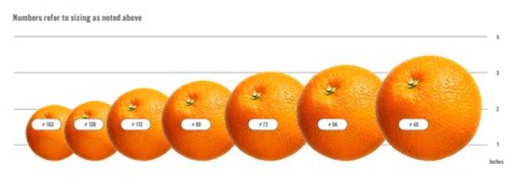 How much does oranges cost per pound?