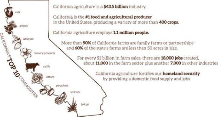 How much food does California produce for the world?