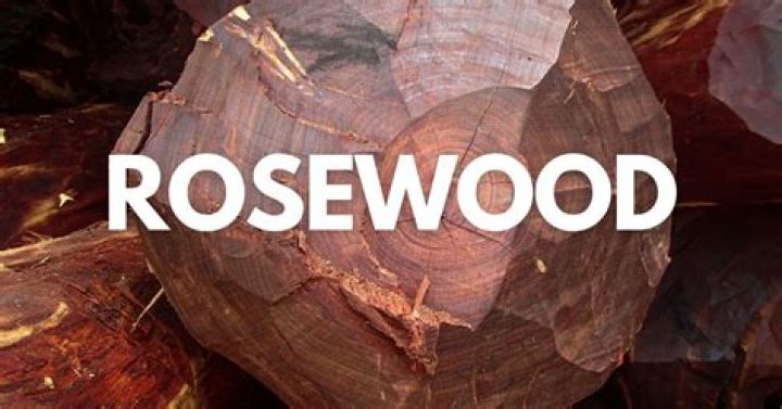How much is a rosewood tree worth?