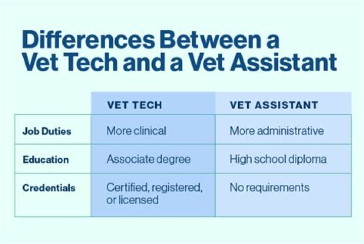 How much money does a vet assistant get?