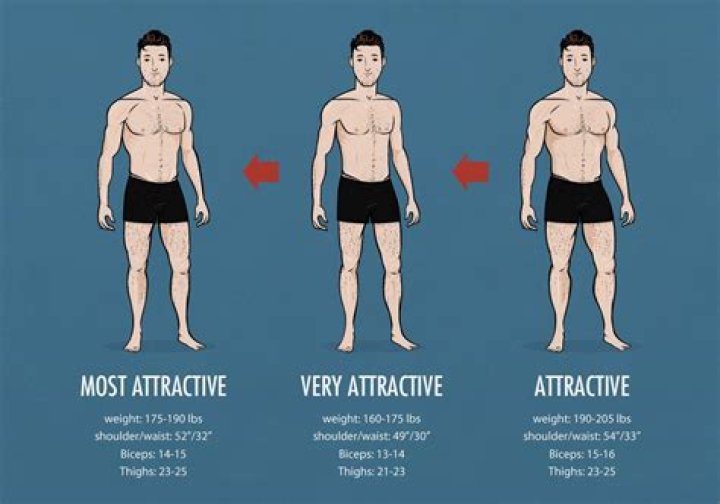 How much should male models weight?
