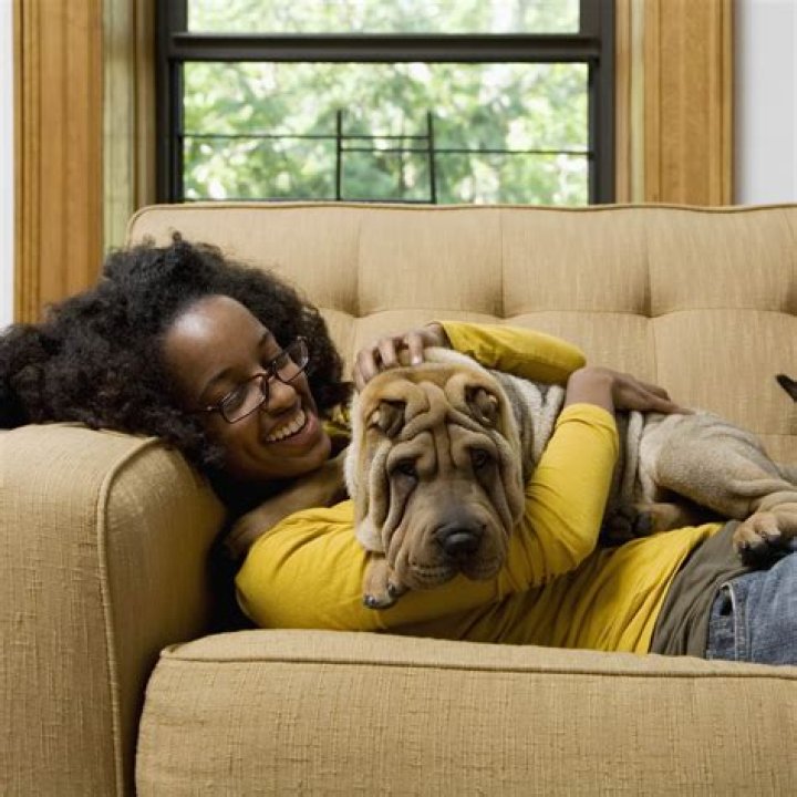 How much time should I spend with my dog per day?