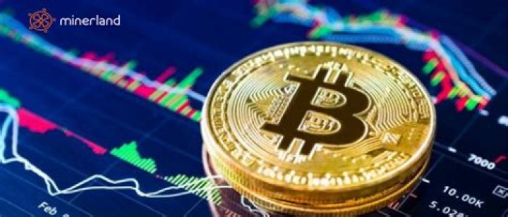 How much will I get if I invest 1000 in Bitcoin?