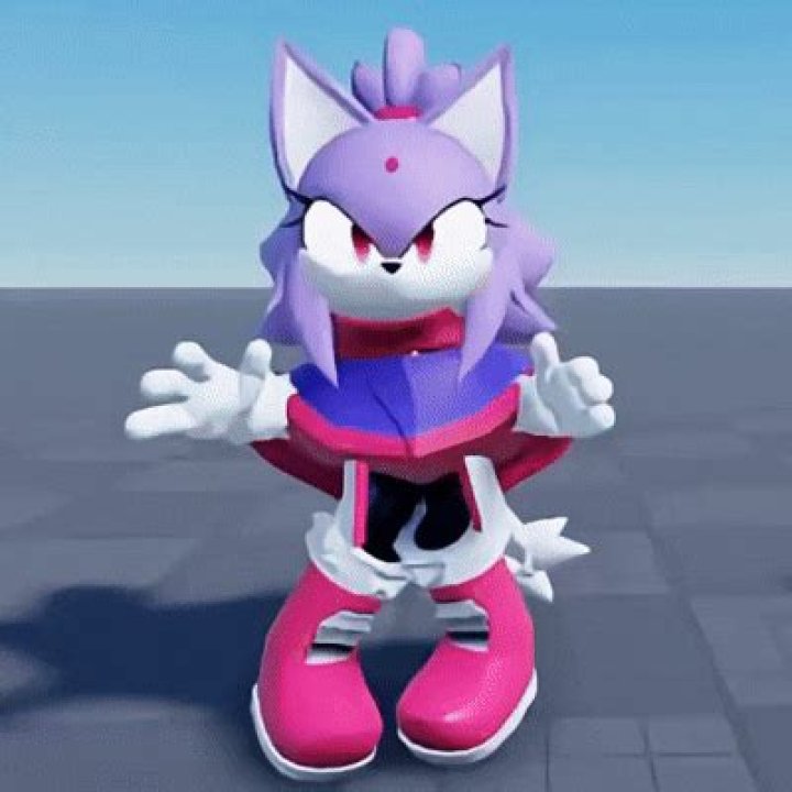 How old is Blaze the cat?