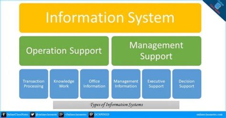How the information system function supports a business?