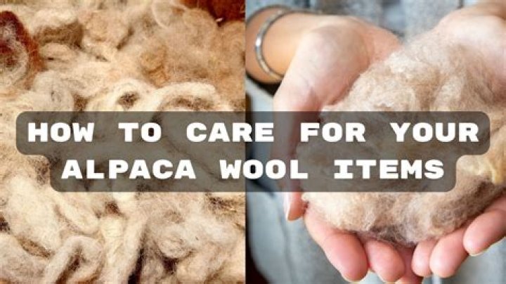 How waterproof is alpaca wool?
