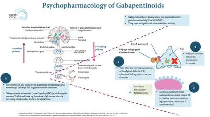 How well does gabapentin work for fibromyalgia?
