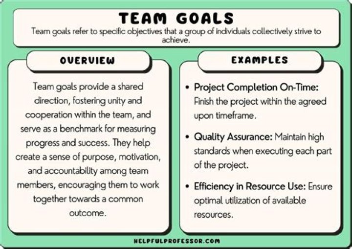 How will you involve team members in setting goals?