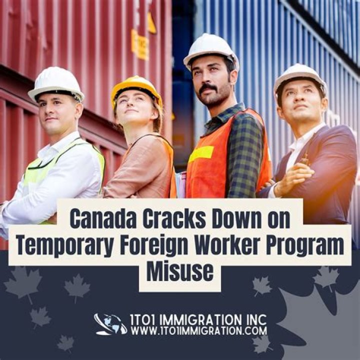 In which sector do temporary foreign workers tend to work in Canada?