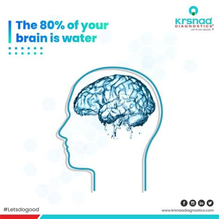 Is 80% of your brain water?