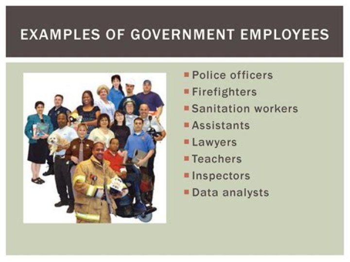 Is a police officer considered a government employee?