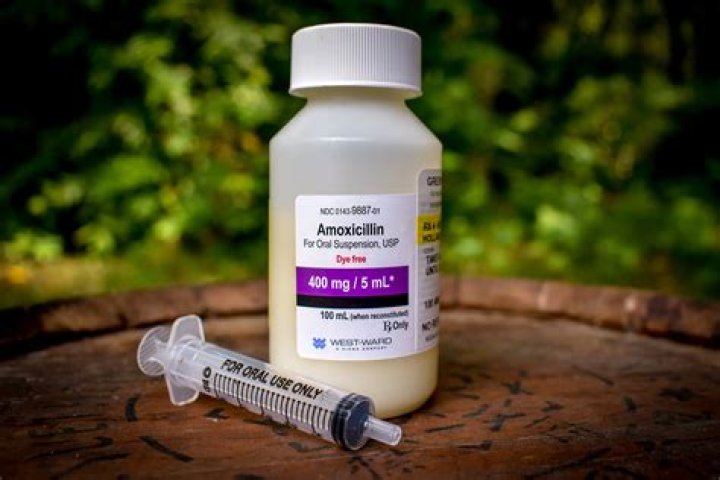 Is amoxicillin considered a strong antibiotic?