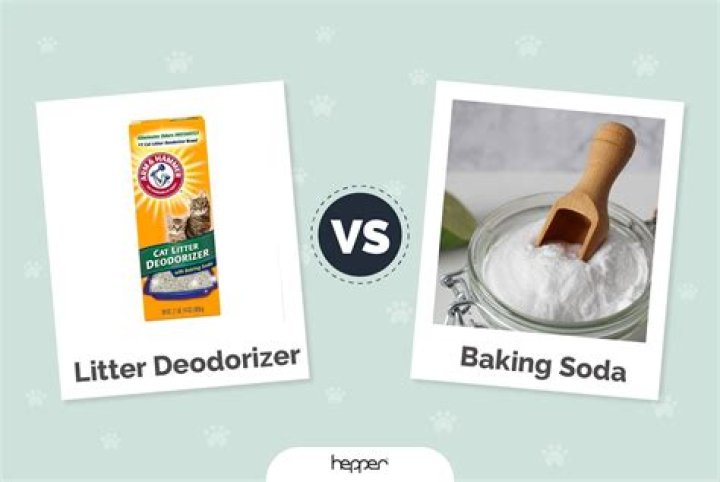 Is baking soda bath safe for dogs?