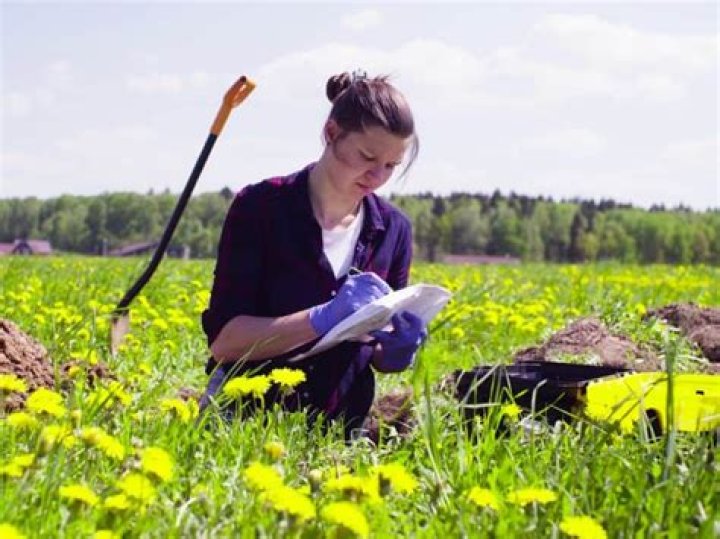 Is being an ecologist fun?