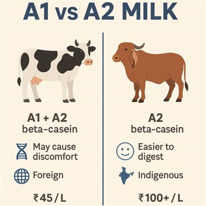 Is buffalo milk A2 or A1?
