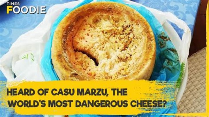 Is casu marzu harmful?