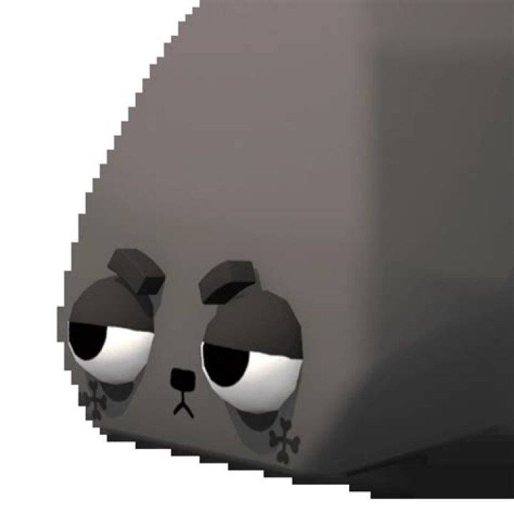 Is coal a true rock?