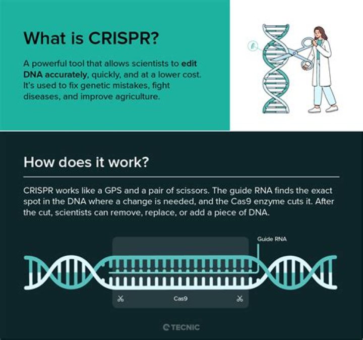 Is CRISPR used in humans?