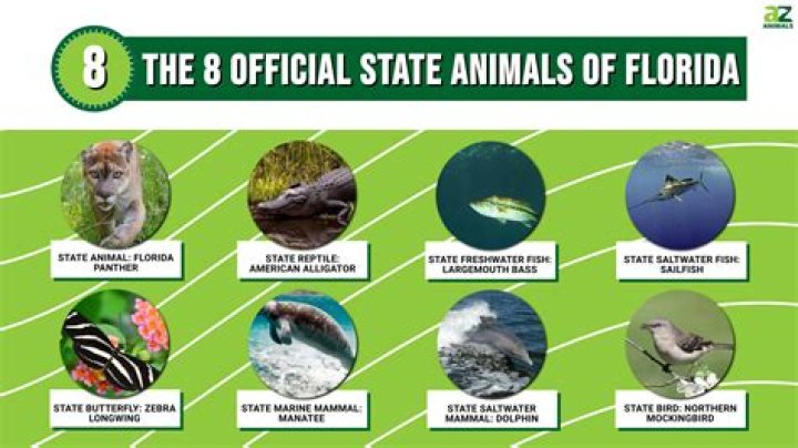 Is Florida an at-will state?