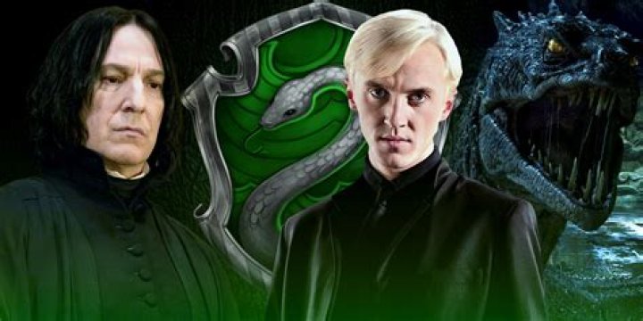 Is Harry heir of Slytherin?