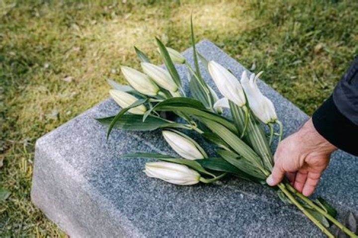 Is it better to be cremated or buried?