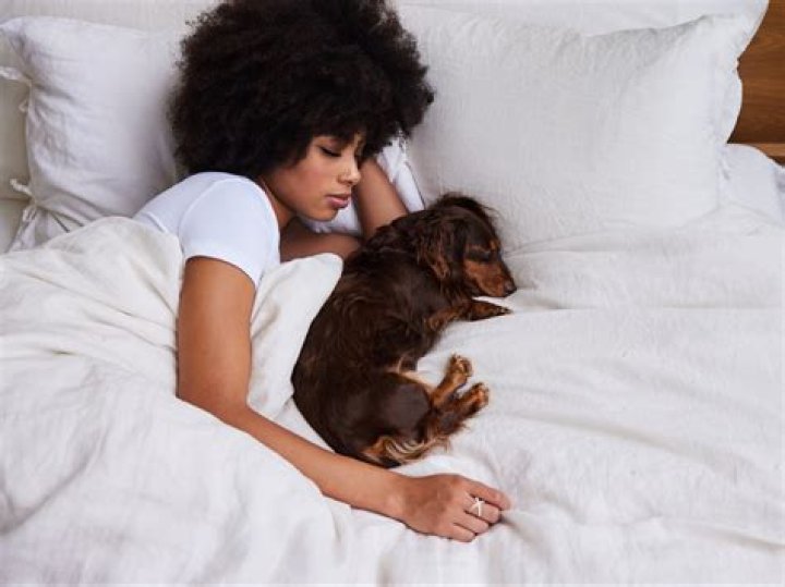 Is it good to let your dog sleep in bed with you?