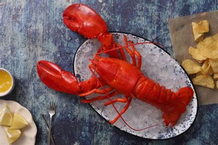 Is Lobster considered meat?